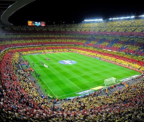 用户反馈分析深度分析：bsport体育官网